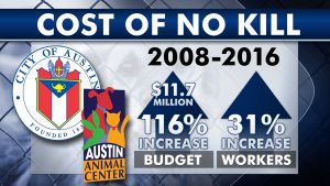 KXAN Cost of No Kill monitor FS